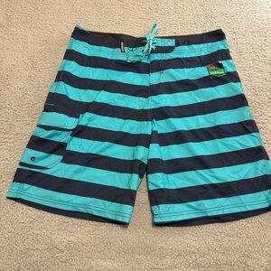 Arbor Mens Nano Bamboo Board Shorts‎ Size 34 Swimming Athletic Striped blue